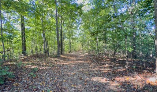 Photo #43 of Off of NC Hwy 731 E, Candor, NC 173.2 acres