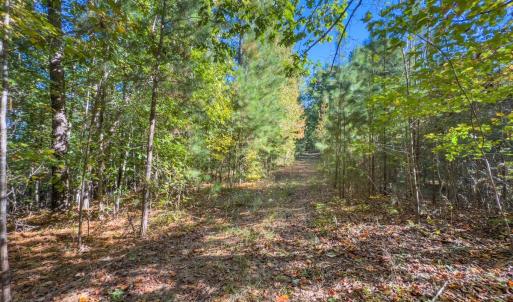 Photo #44 of Off of NC Hwy 731 E, Candor, NC 173.2 acres