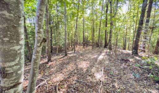 Photo #45 of Off of NC Hwy 731 E, Candor, NC 173.2 acres
