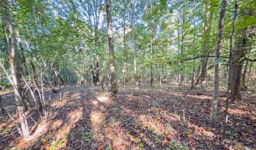 Photo #46 of Off of NC Hwy 731 E, Candor, NC 173.2 acres