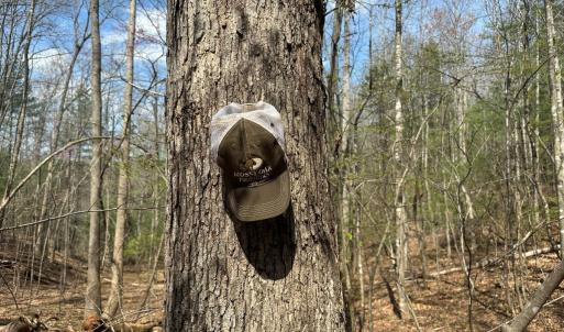 Photo #14 of Off of Wagon Trail Rd , Monroe, VA 9.2 acres