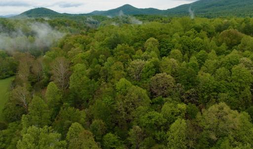 Photo #17 of Off of Wagon Trail Rd , Monroe, VA 9.2 acres