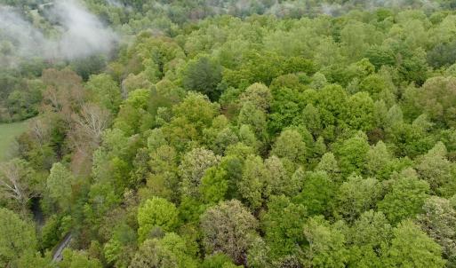 Photo #18 of Off of Wagon Trail Rd , Monroe, VA 9.2 acres