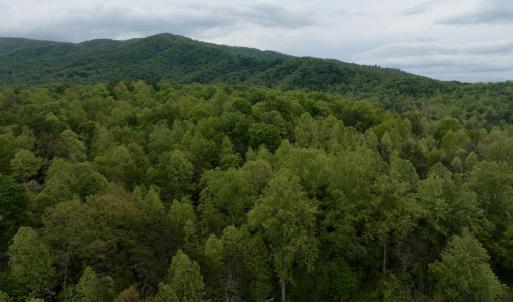 Photo #20 of Off of Wagon Trail Rd , Monroe, VA 9.2 acres