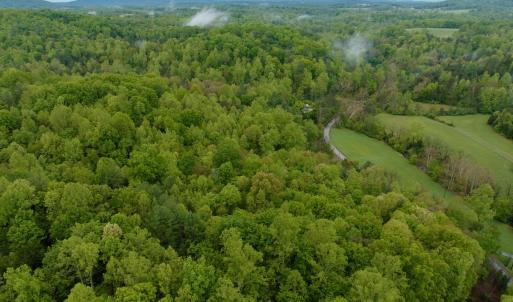 Photo #23 of Off of Wagon Trail Rd , Monroe, VA 9.2 acres
