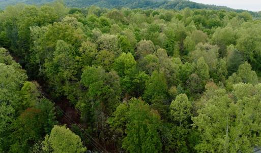 Photo #24 of Off of Wagon Trail Rd , Monroe, VA 9.2 acres