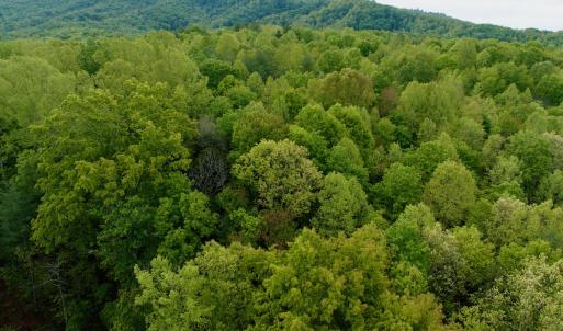 Photo #25 of Off of Wagon Trail Rd , Monroe, VA 9.2 acres