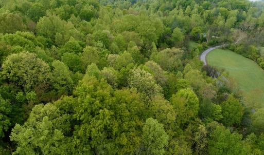 Photo #26 of Off of Wagon Trail Rd , Monroe, VA 9.2 acres