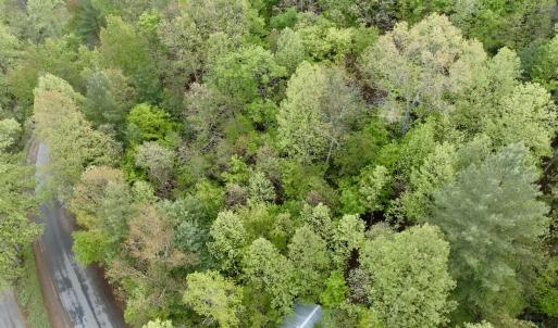 Photo #28 of Off of Wagon Trail Rd , Monroe, VA 9.2 acres