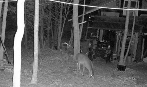 Photo #29 of Off of Wagon Trail Rd , Monroe, VA 9.2 acres
