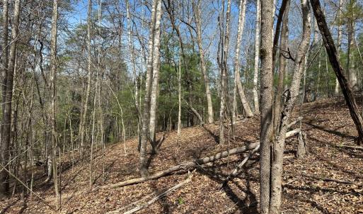Photo #39 of Off of Wagon Trail Rd , Monroe, VA 9.2 acres