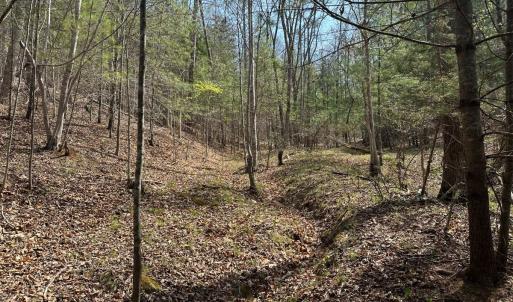 Photo #40 of Off of Wagon Trail Rd , Monroe, VA 9.2 acres