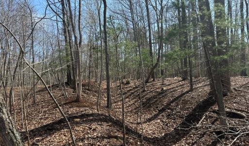 Photo #43 of Off of Wagon Trail Rd , Monroe, VA 9.2 acres