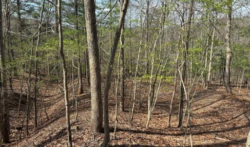 Photo #44 of Off of Wagon Trail Rd , Monroe, VA 9.2 acres