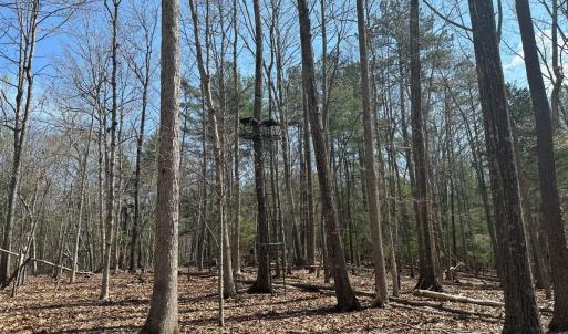 Photo #45 of Off of Wagon Trail Rd , Monroe, VA 9.2 acres