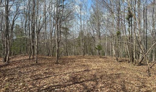 Photo #46 of Off of Wagon Trail Rd , Monroe, VA 9.2 acres