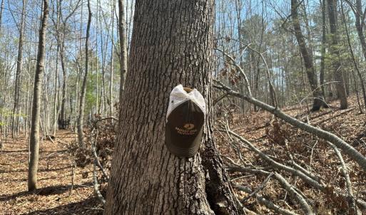 Photo #47 of Off of Wagon Trail Rd , Monroe, VA 9.2 acres