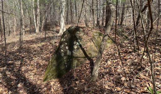 Photo #48 of Off of Wagon Trail Rd , Monroe, VA 9.2 acres