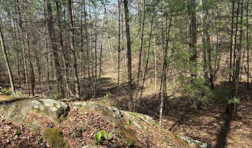 Photo #50 of Off of Wagon Trail Rd , Monroe, VA 9.2 acres