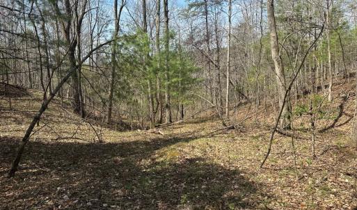 Photo #51 of Off of Wagon Trail Rd , Monroe, VA 9.2 acres