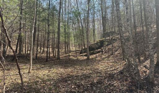 Photo #52 of Off of Wagon Trail Rd , Monroe, VA 9.2 acres