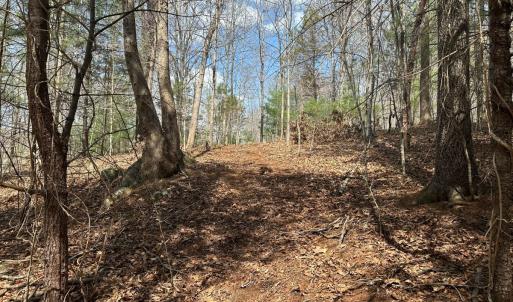 Photo #54 of Off of Wagon Trail Rd , Monroe, VA 9.2 acres