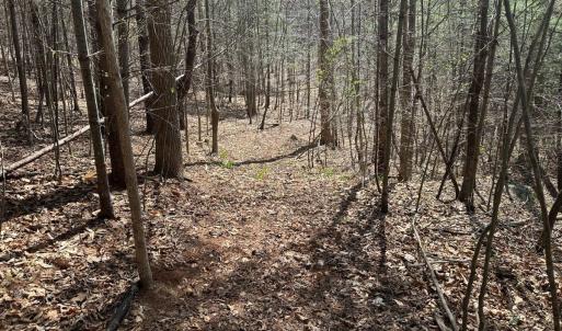 Photo #55 of Off of Wagon Trail Rd , Monroe, VA 9.2 acres