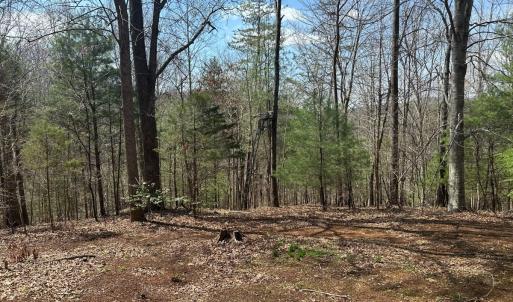 Photo #56 of Off of Wagon Trail Rd , Monroe, VA 9.2 acres