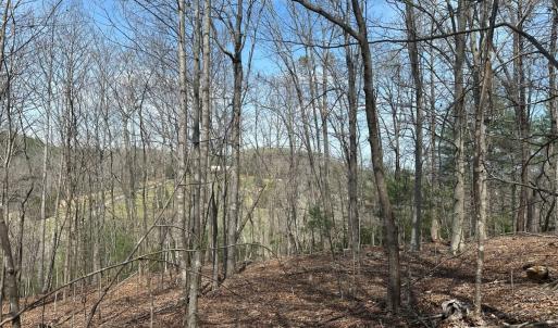 Photo #57 of Off of Wagon Trail Rd , Monroe, VA 9.2 acres