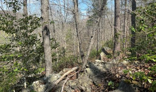 Photo #58 of Off of Wagon Trail Rd , Monroe, VA 9.2 acres