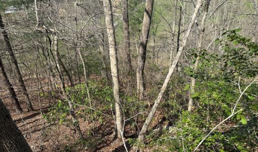 Photo #59 of Off of Wagon Trail Rd , Monroe, VA 9.2 acres