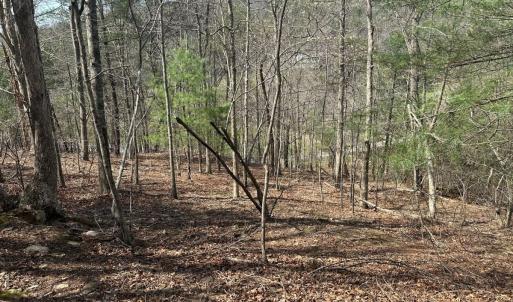 Photo #60 of Off of Wagon Trail Rd , Monroe, VA 9.2 acres