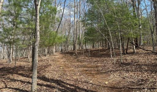 Photo #61 of Off of Wagon Trail Rd , Monroe, VA 9.2 acres