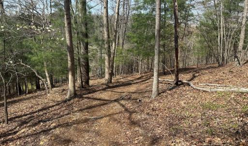 Photo #62 of Off of Wagon Trail Rd , Monroe, VA 9.2 acres