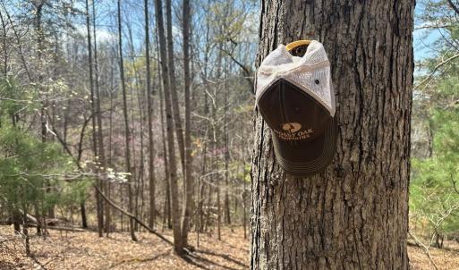 Photo #63 of Off of Wagon Trail Rd , Monroe, VA 9.2 acres