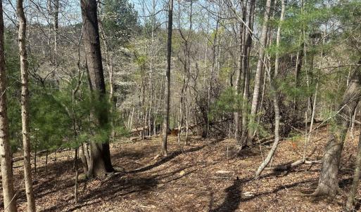 Photo #64 of Off of Wagon Trail Rd , Monroe, VA 9.2 acres