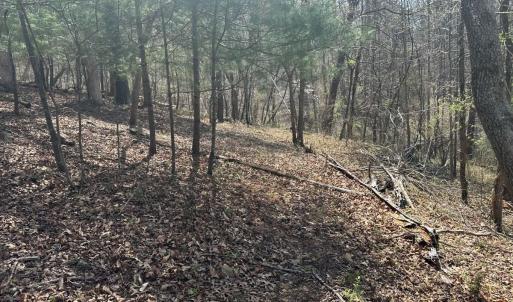 Photo #65 of Off of Wagon Trail Rd , Monroe, VA 9.2 acres