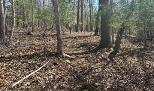 Photo #66 of Off of Wagon Trail Rd , Monroe, VA 9.2 acres