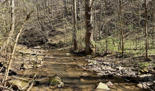 Photo #10 of 1297 Dry Creek Road, Blackwater, VA 50.5 acres