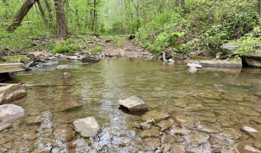 Photo #13 of 1297 Dry Creek Road, Blackwater, VA 50.5 acres