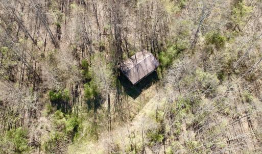 Photo #8 of 1297 Dry Creek Road, Blackwater, VA 50.5 acres