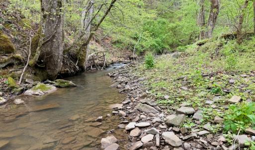 Photo #23 of 1297 Dry Creek Road, Blackwater, VA 50.5 acres
