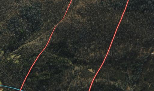 Photo #25 of 1297 Dry Creek Road, Blackwater, VA 50.5 acres