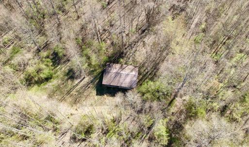 Photo #34 of 1297 Dry Creek Road, Blackwater, VA 50.5 acres