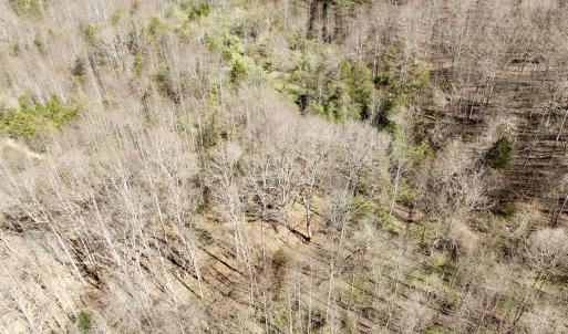 Photo #35 of 1297 Dry Creek Road, Blackwater, VA 50.5 acres