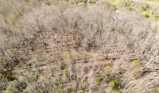 Photo #36 of 1297 Dry Creek Road, Blackwater, VA 50.5 acres