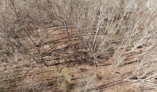 Photo #37 of 1297 Dry Creek Road, Blackwater, VA 50.5 acres
