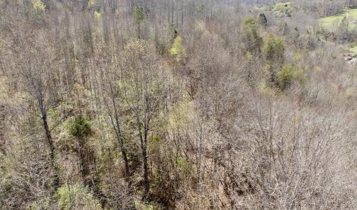 Photo #38 of 1297 Dry Creek Road, Blackwater, VA 50.5 acres