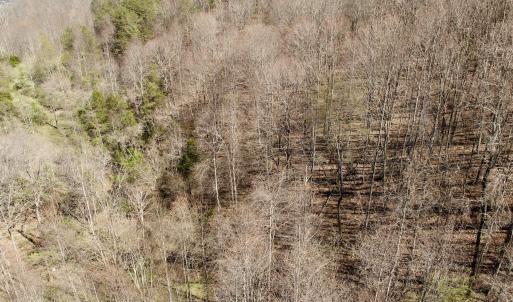 Photo #40 of 1297 Dry Creek Road, Blackwater, VA 50.5 acres
