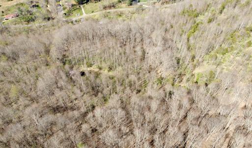 Photo #45 of 1297 Dry Creek Road, Blackwater, VA 50.5 acres